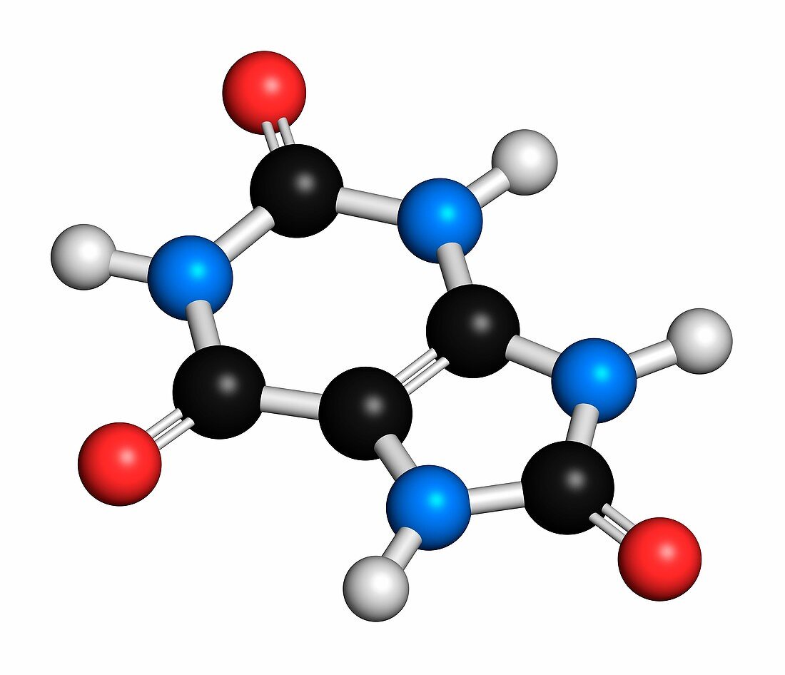 Uric acid molecule