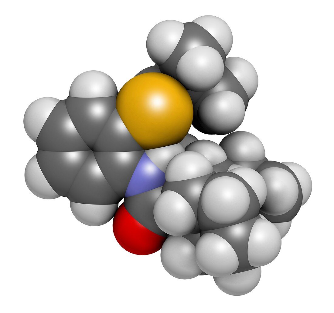 Dalcetrapib hypercholesterolemia drug molecule