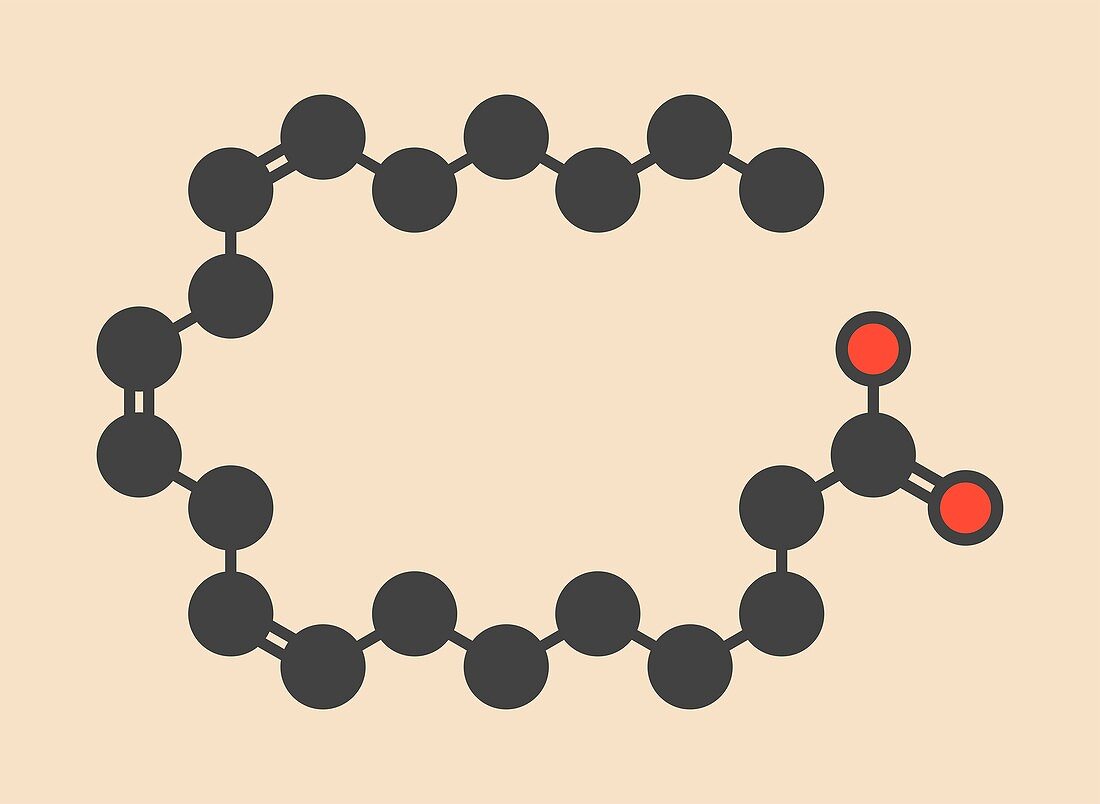 Dihomo-g-linolenic acid molecule