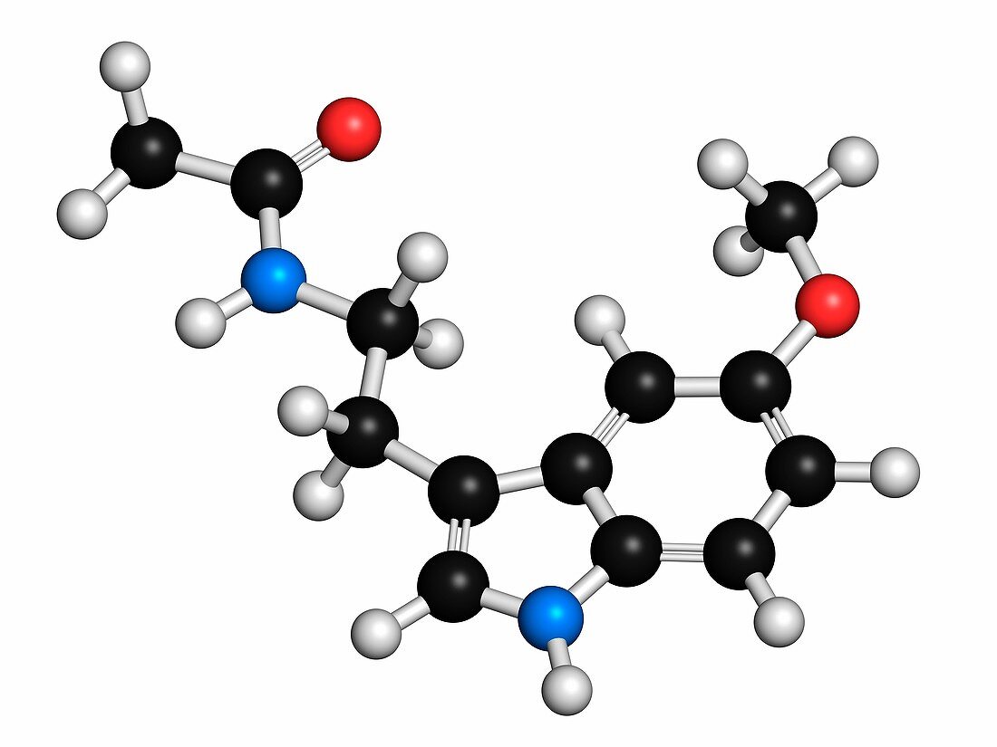 Melatonin hormone molecule