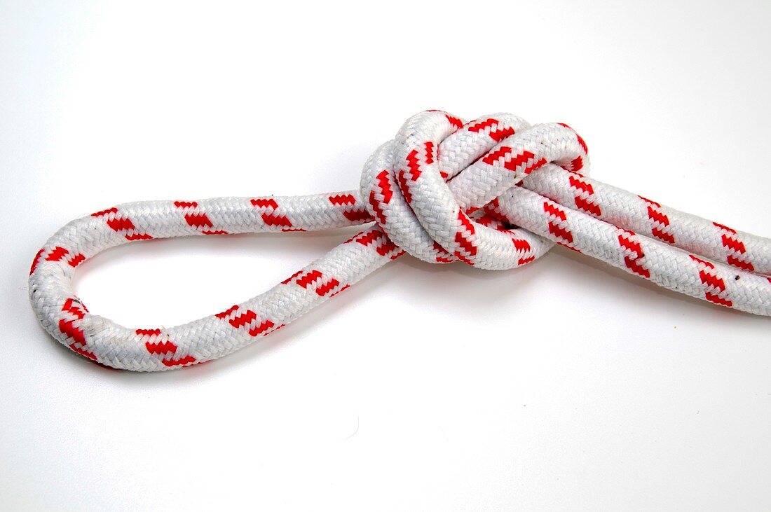 Overhand loop knot