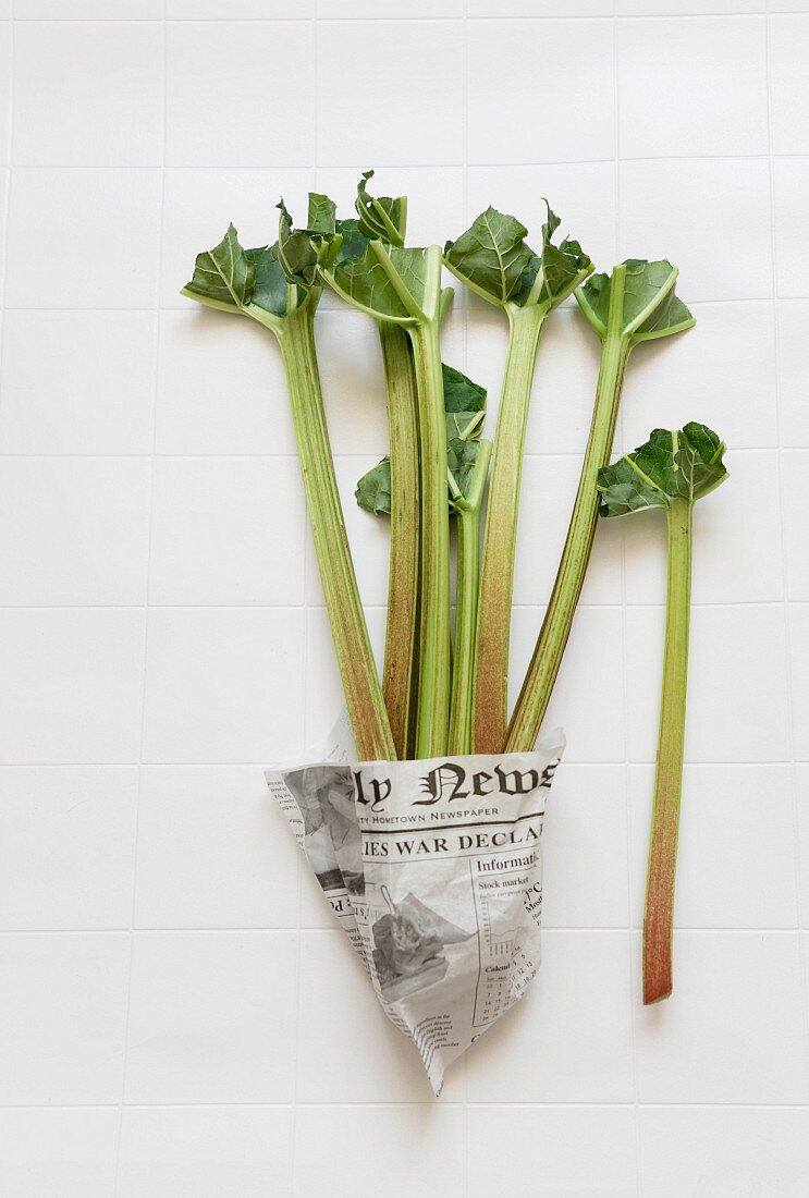Fresh rhubarb stalks wrapped in newspaper