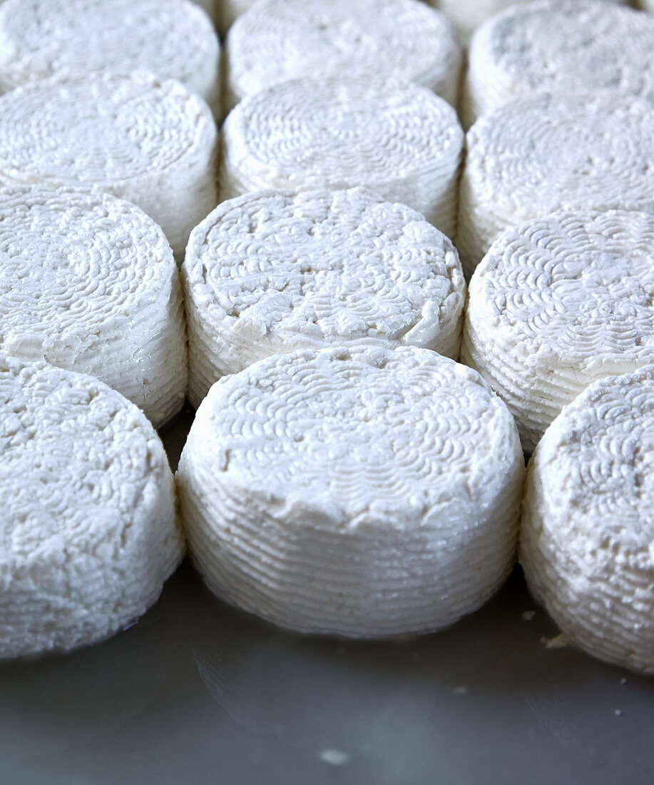 Handmade halloumi cheese (Cyprus)