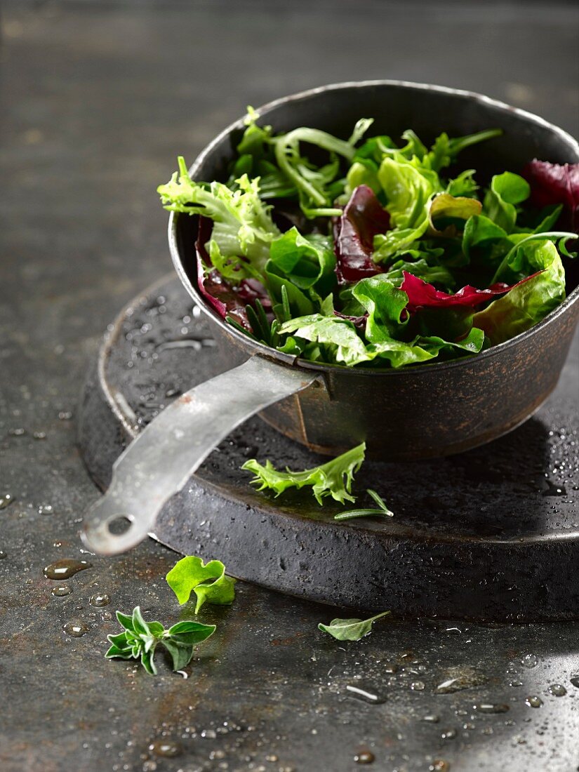 Freshly washed mixed lettuce leaves