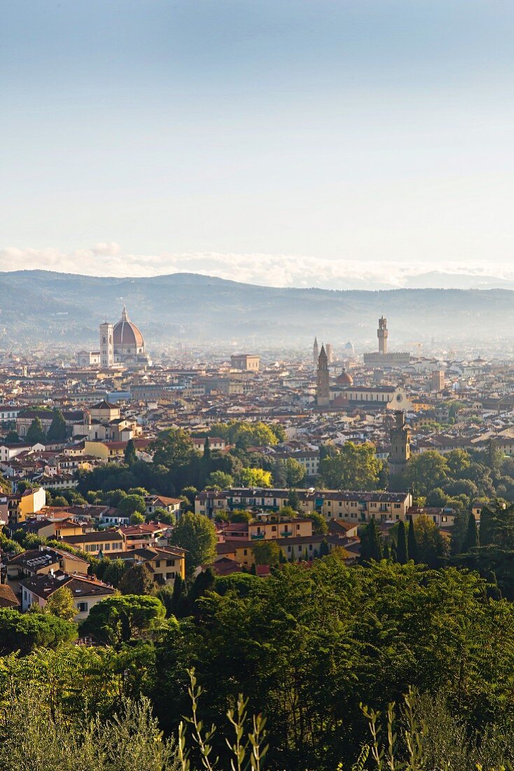 Blick vom Hotel 'Torre Di Bellosguardo' auf Florenz, Italien