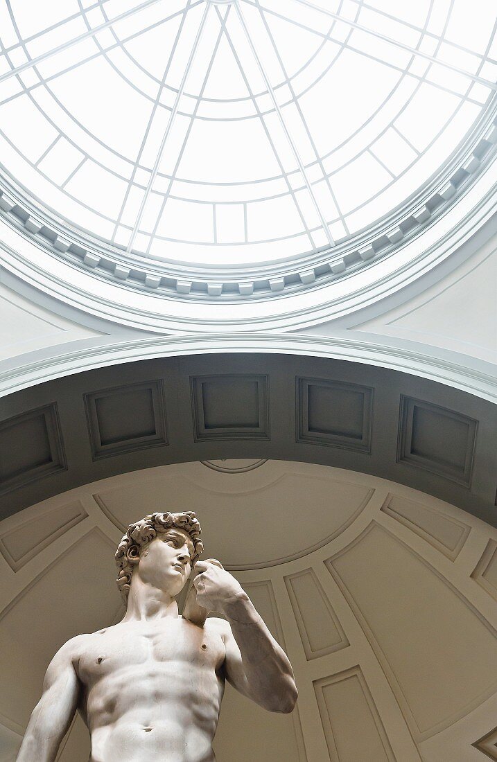 The David statue by Michelangelo at the Galeria dell' Accademia, Florence, Italy