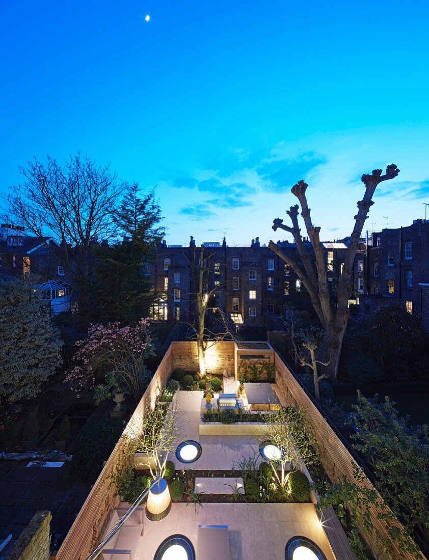 Illuminated urban courtyard garden below night sky