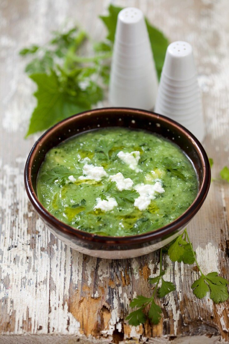 Cucumber cooler with ricotta cheese