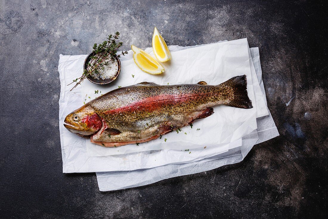 Fresh raw trout fish with lemon and salt on dark background