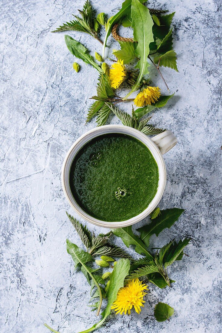 Spring green nettle and dandelion smoothie bowl served with yellow flowers, young birch leaves, spruce needles over gray blue texture background