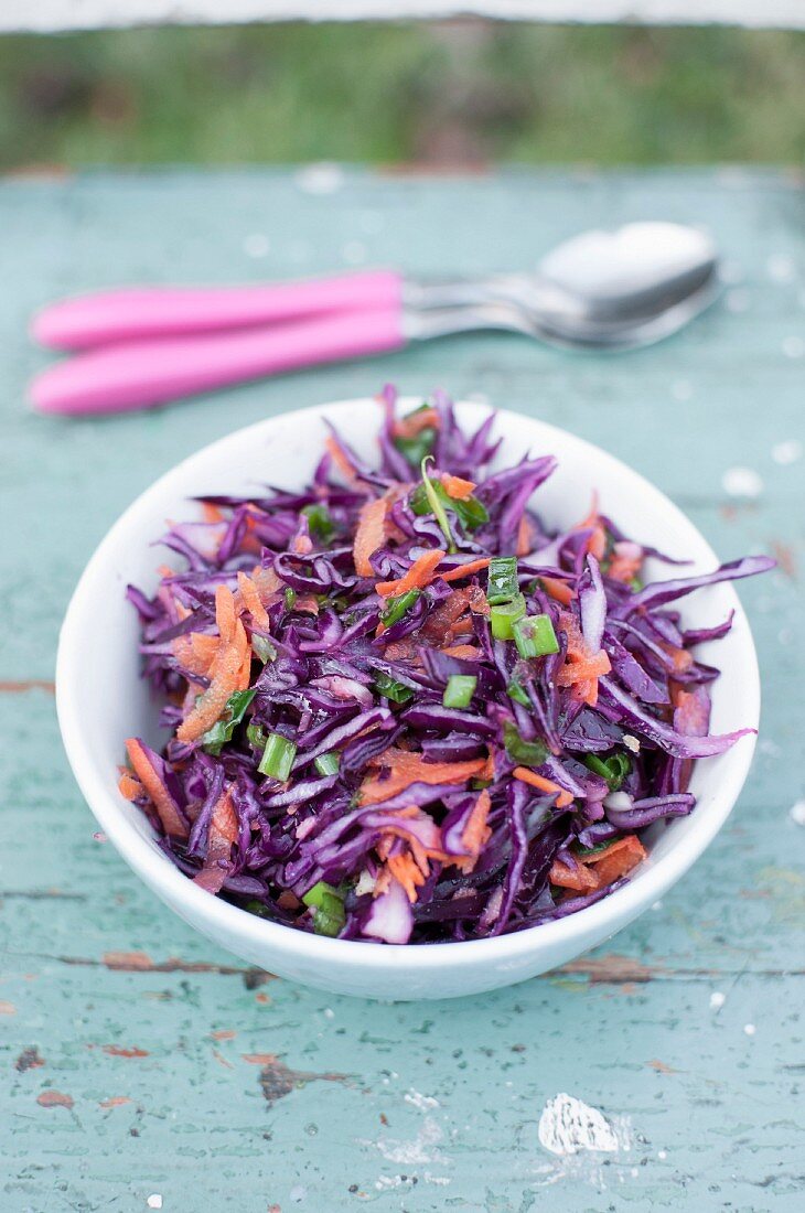 Krautsalat mit Rotkohl, Karotten und Frühlingszwiebeln