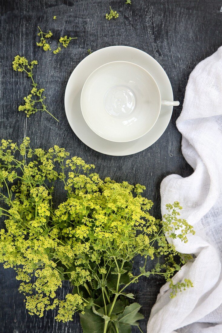 Leere weiße Teetasse, daneben Leinentuch und grüne Blütenzweige (Aufsicht)