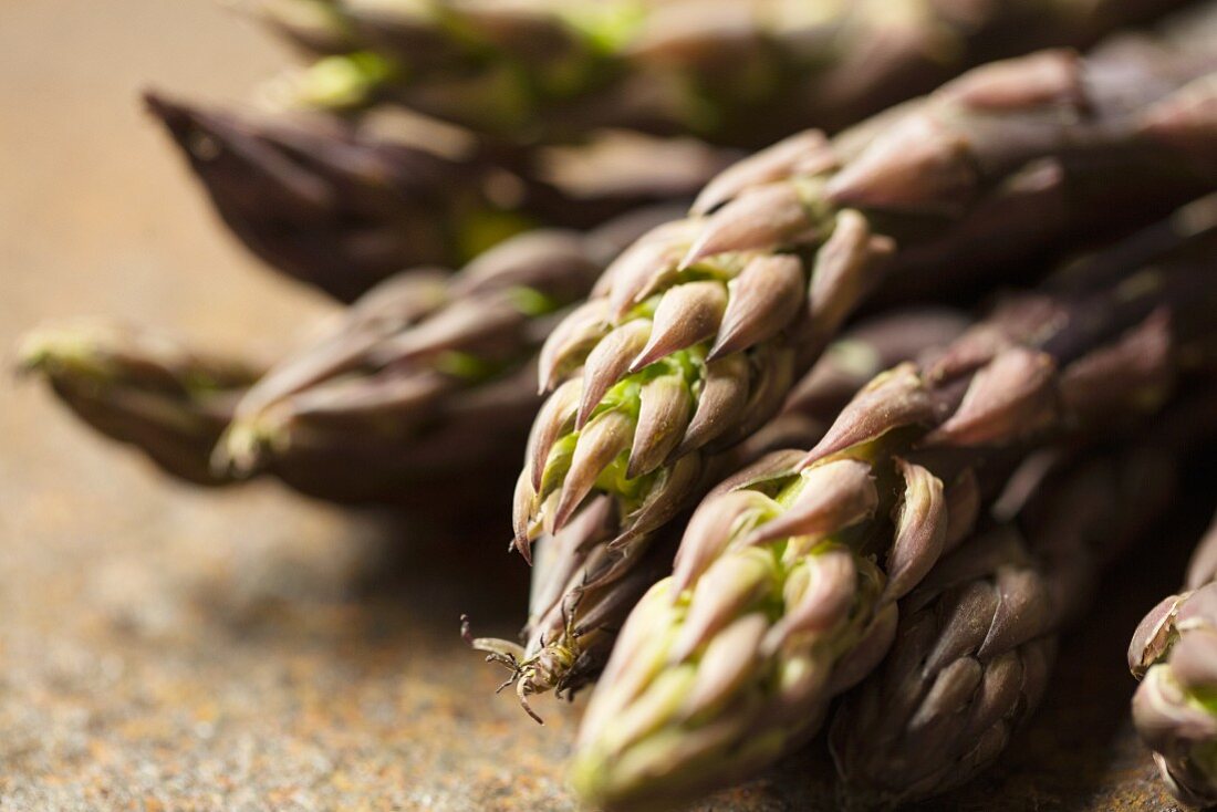 Purple asparagus (close up)