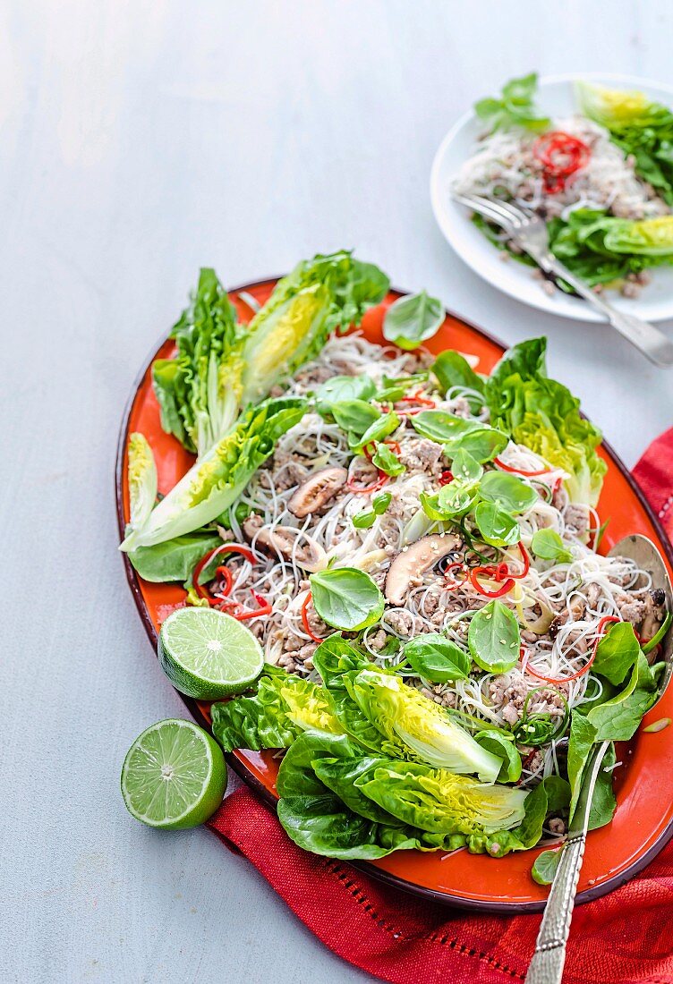 Reisnudelsalat mit Hackfleisch, Shiitake und Salatherzen (Asien)