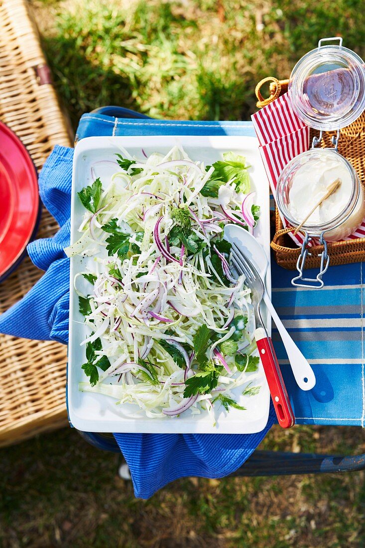 Apfel-Fenchel-Slaw zum Australia Day