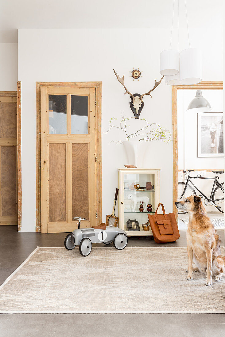 Dog sitting on rug in hallway with old doors and concrete floor