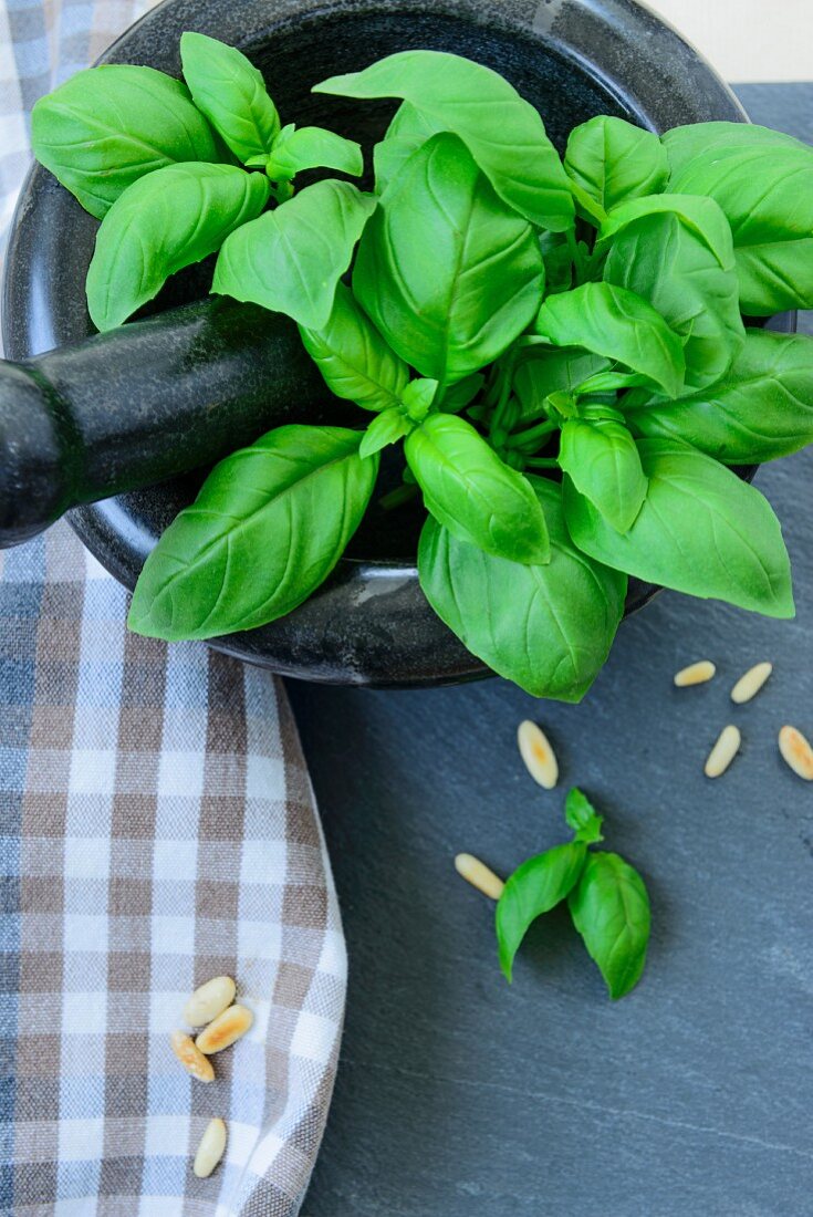 Fresh basil in a mortar, with scattered pine nuts