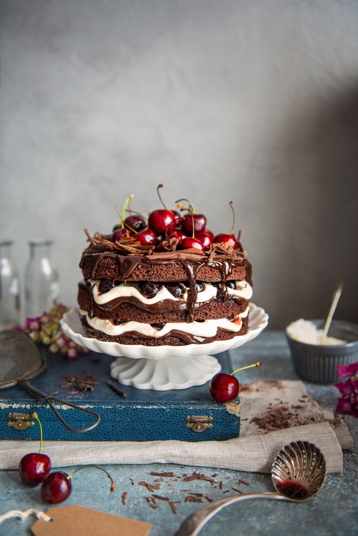 Black forest gateau on a cake stand with dark chocolate and cherries