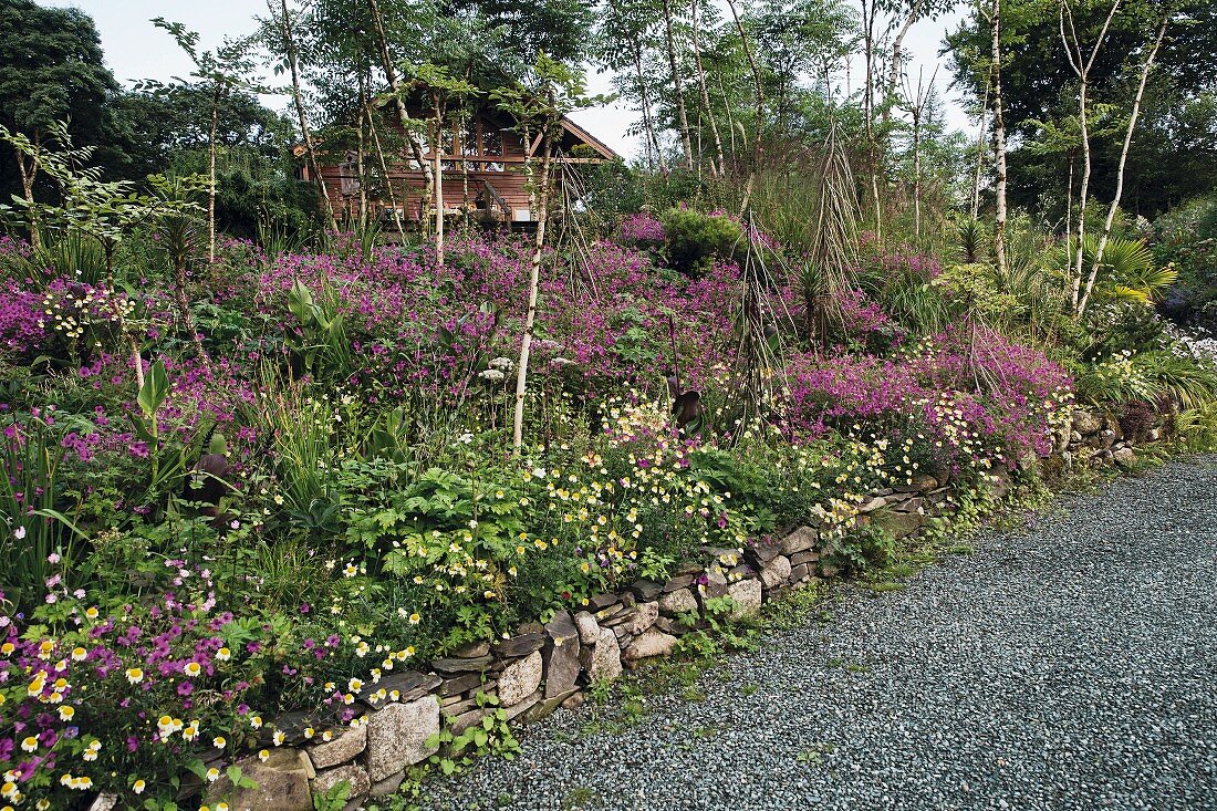 A house behind flowers, grasses and shrubs in Blessington, Ireland