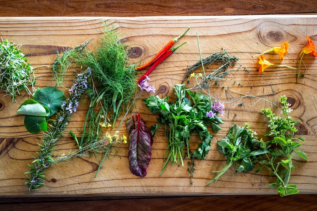 Various fresh herbs with chili peppers on a wooden board