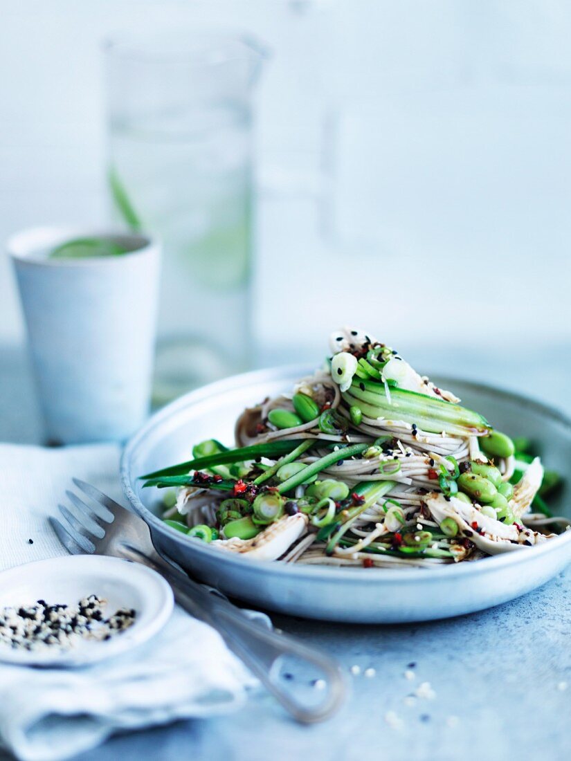 Sichuan chicken salad with chilled noodles and cucumber