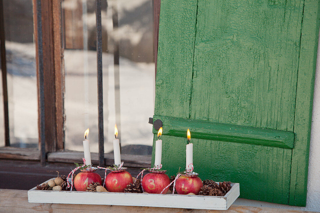 Kerzen stecken in nummerierten Äpfeln als Adventskranz