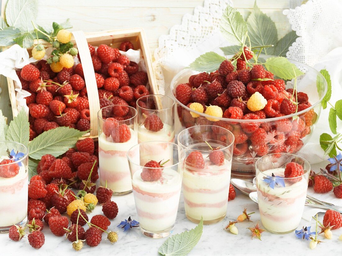 Fresh raspberries and raspberry and vanilla ice cream in glasses