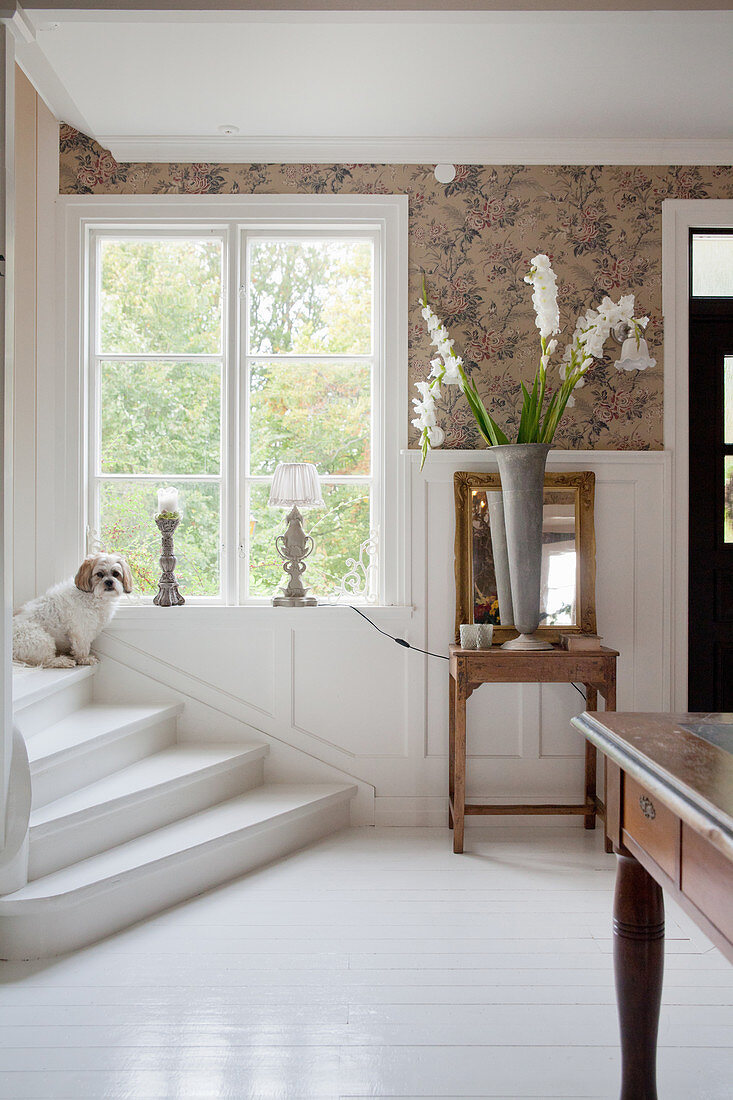 Hund sitzt auf der Treppe im eleganten Hauseingang mit weißem Boden