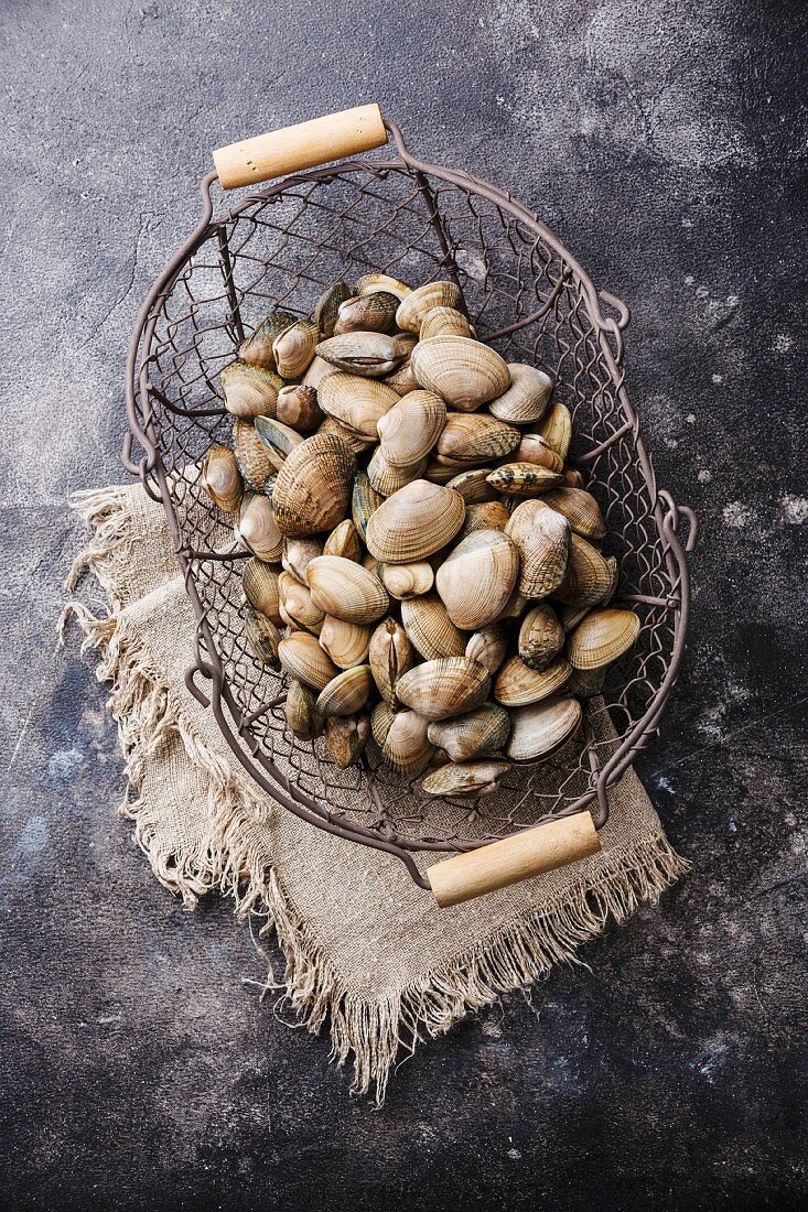 Raw fresh clams vongole seashells in metal basket