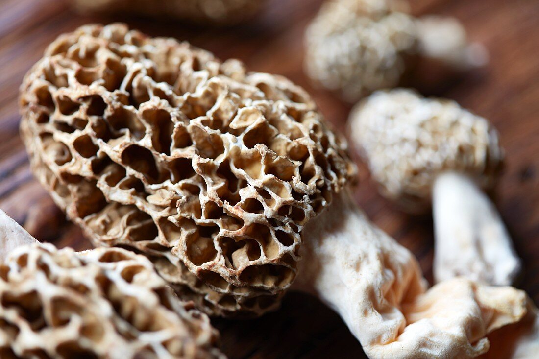 Morel mushrooms (close-up)
