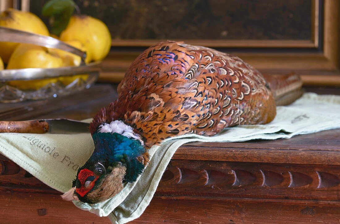 A dead pheasant and a bowl of quinces on a table