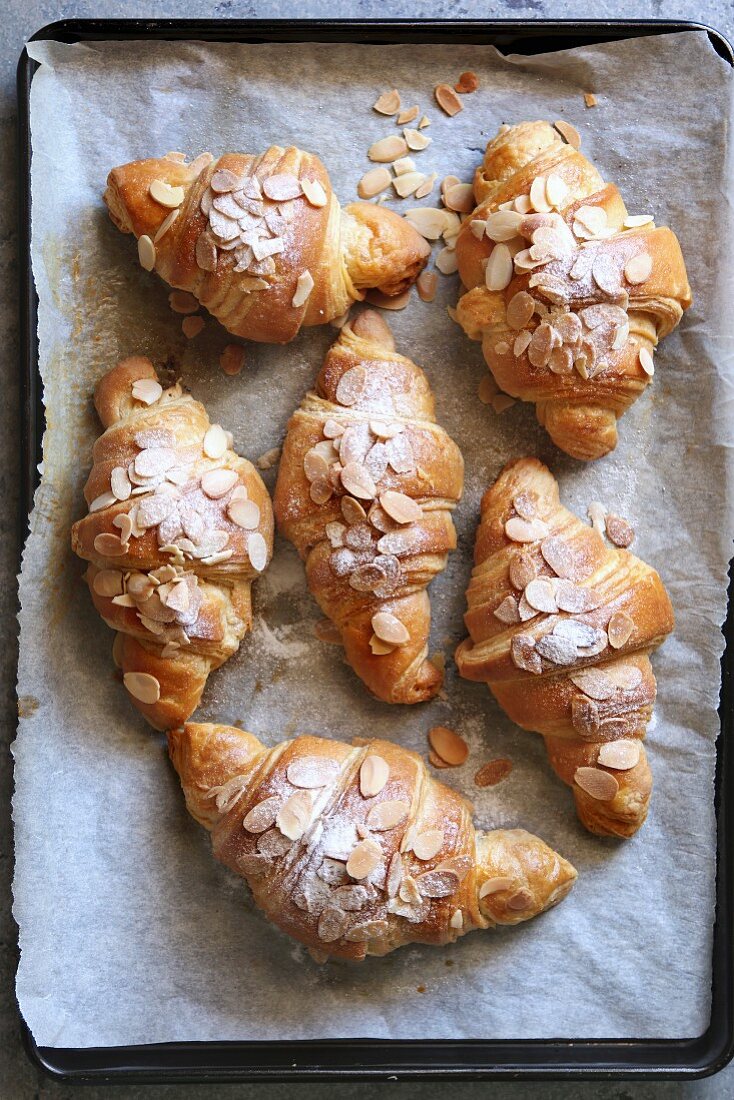 Croissants mit Mandeln auf Ofenblech (Aufsicht)