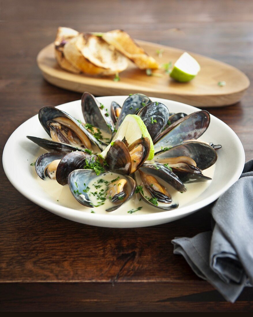 Mussels with white wine cream sauce