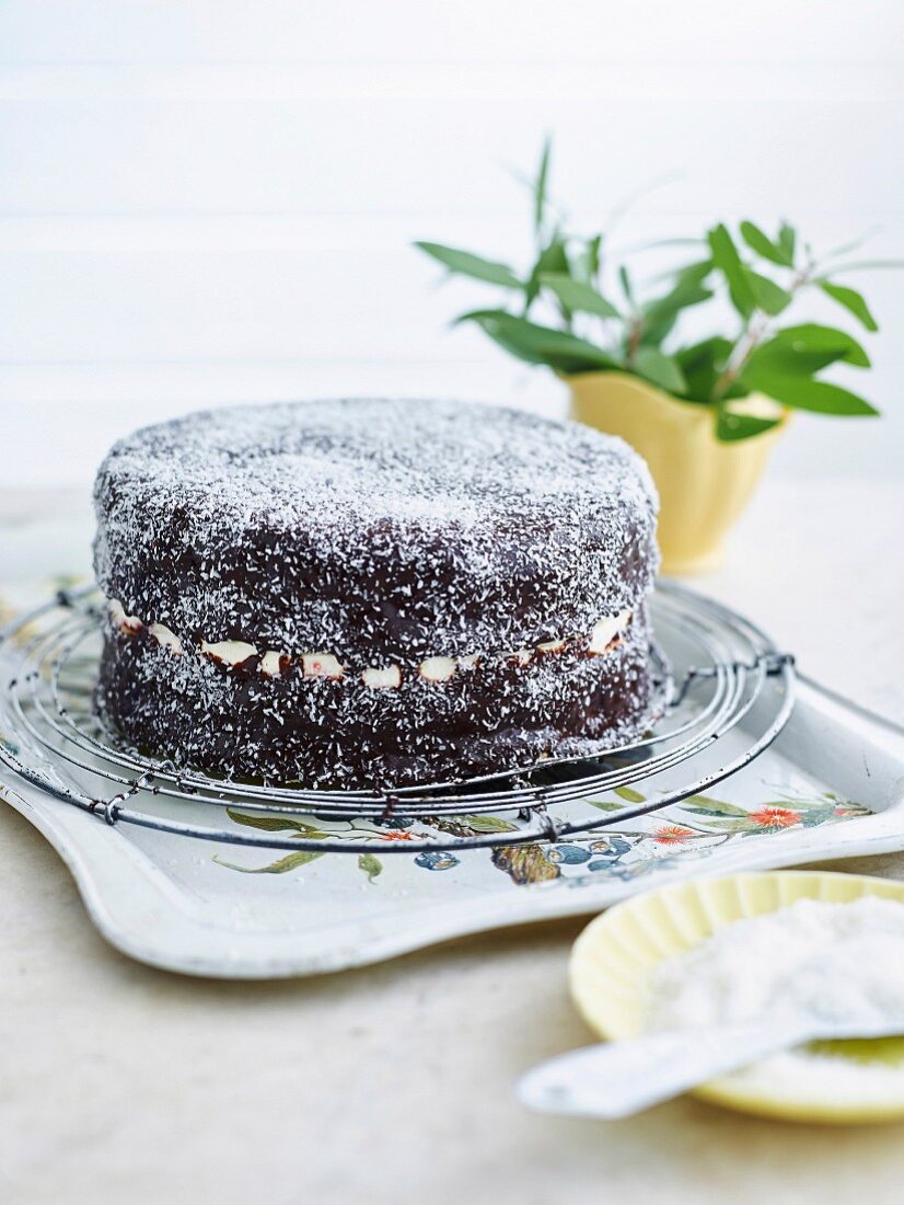 Whole Lamington Cake on a cake rack