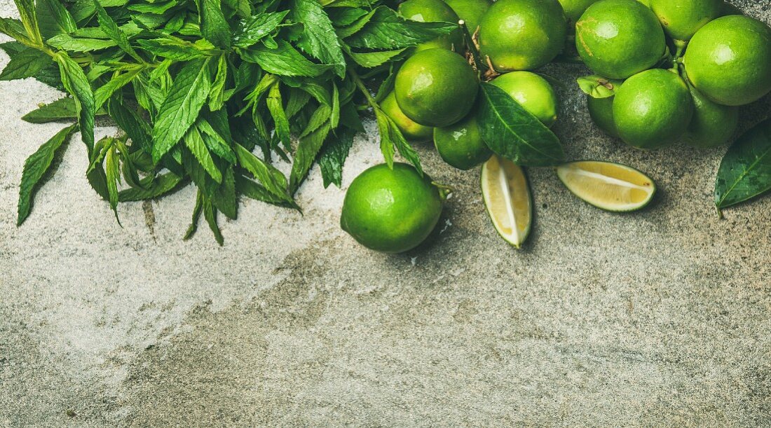 Flatlay of freshly picked organic limes and mint for making cocktail or lemonade over grey concrete stone background