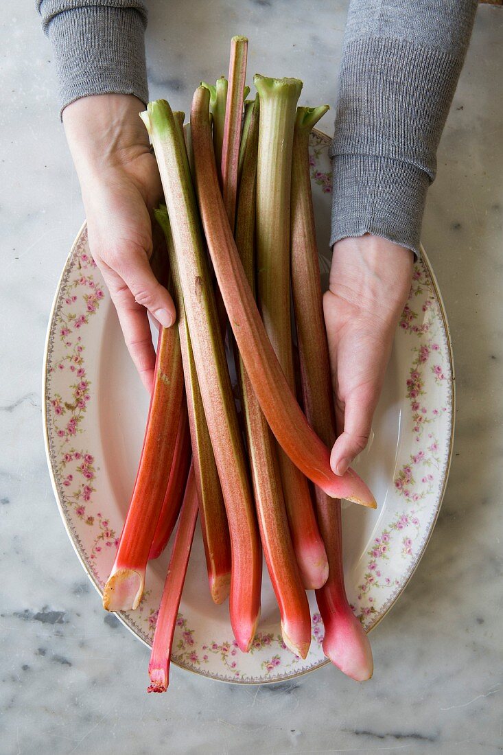 Rhubarb on a vintage plate, held by a womand hands