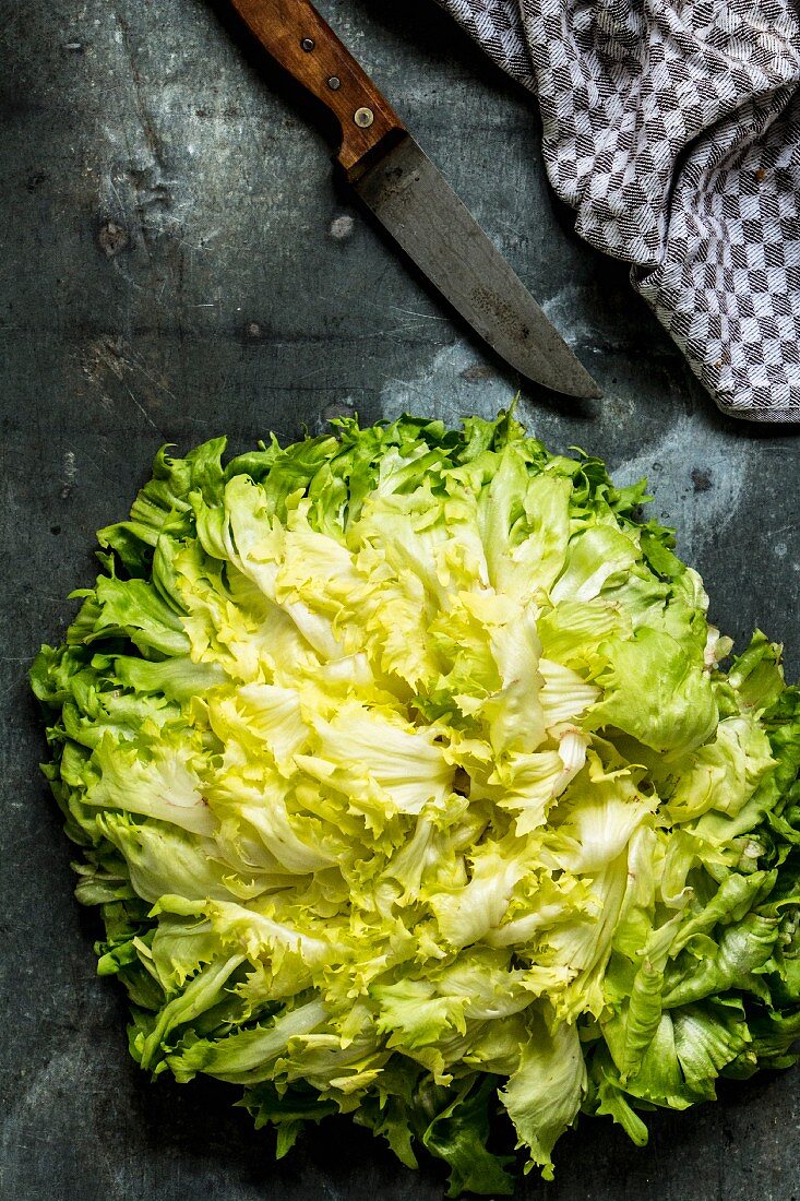 Whole endive leaves