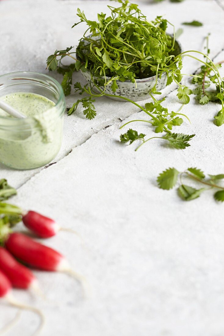 Green sauce, fresh herbs, and radishes