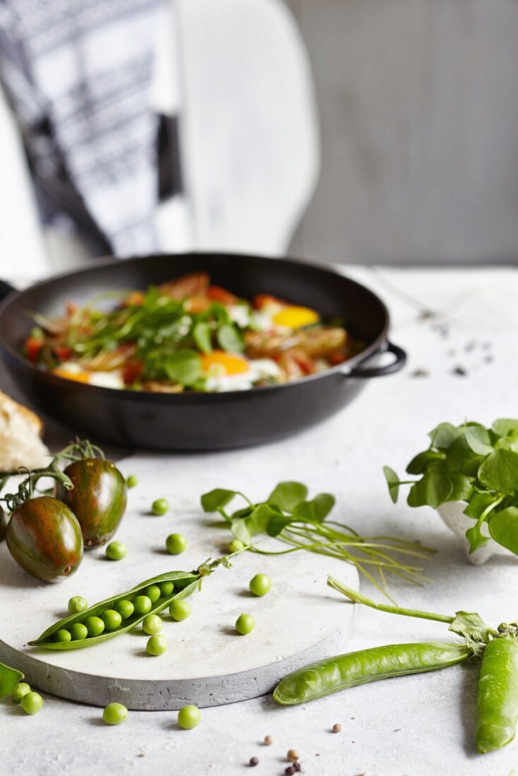 Shakshuka with tomatoes and portulak