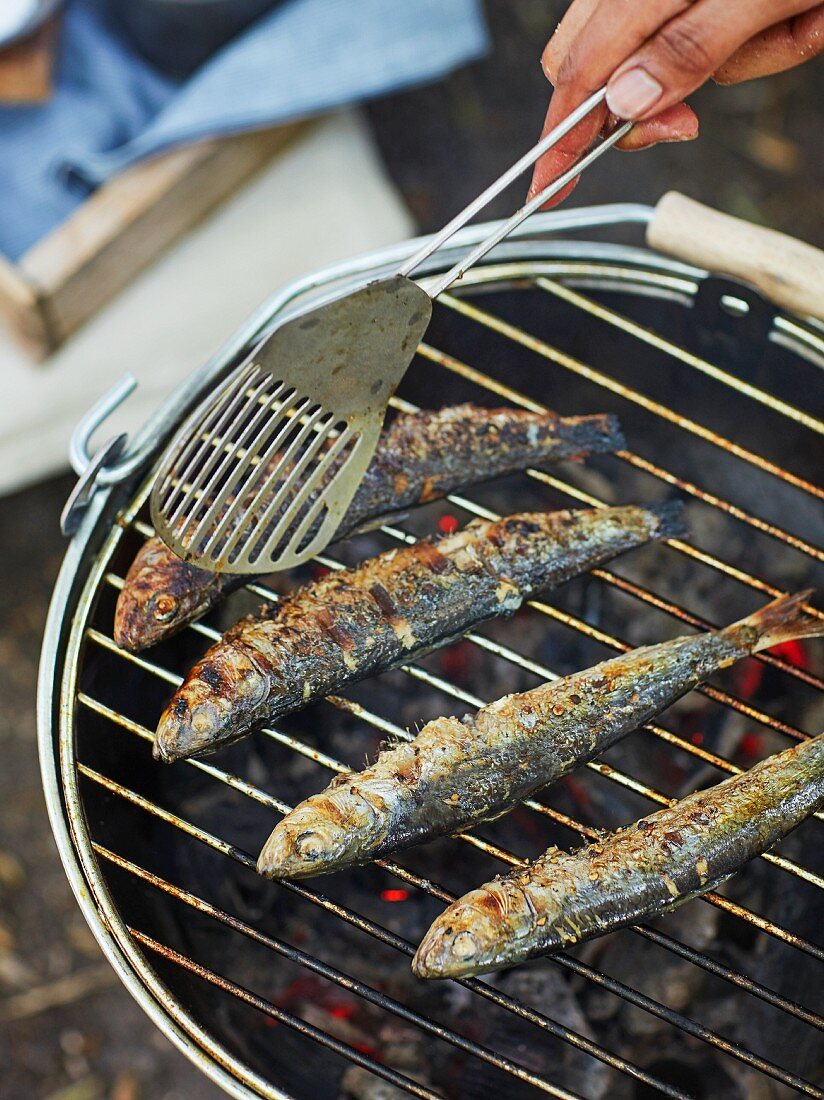 Sardines on a grill