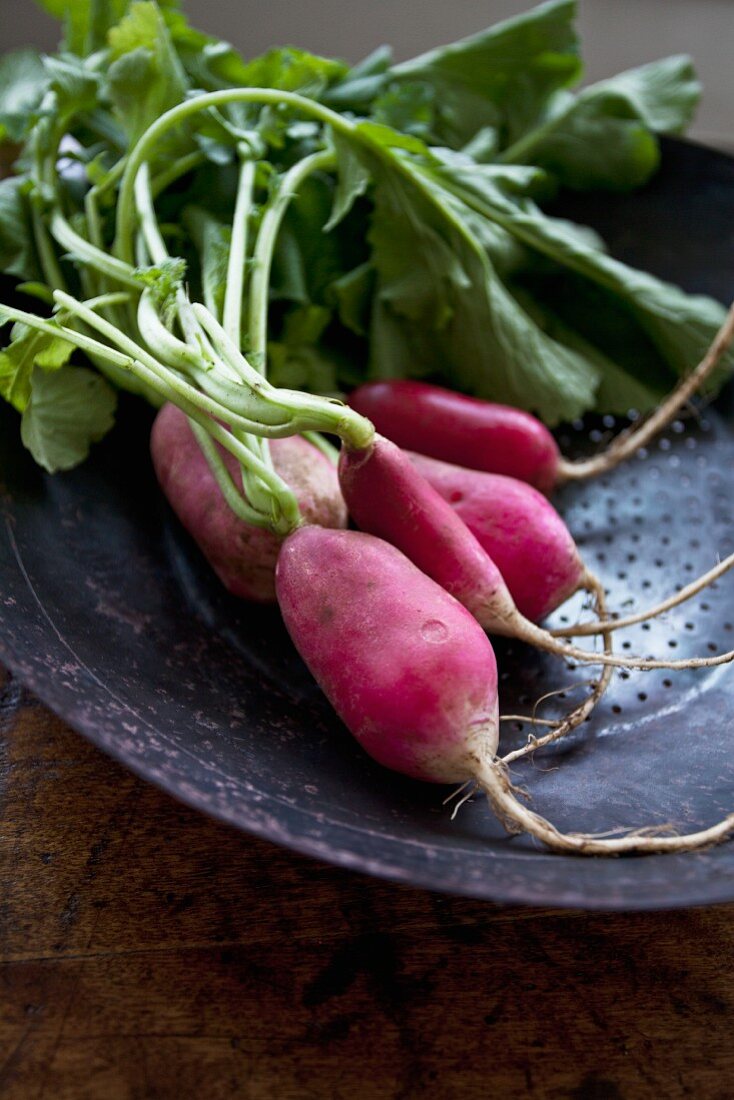 A bunch of radishes in a rustic metal bowl
