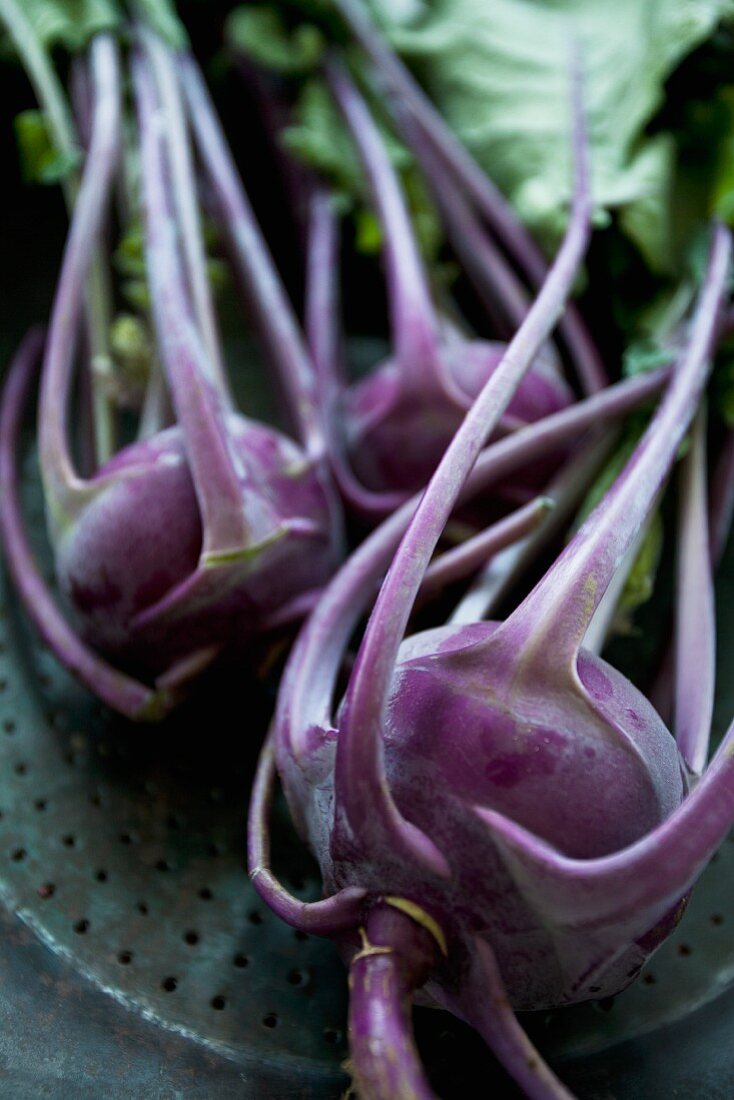 Bunches of kohlrabi in a rustic metal bowl (close up)