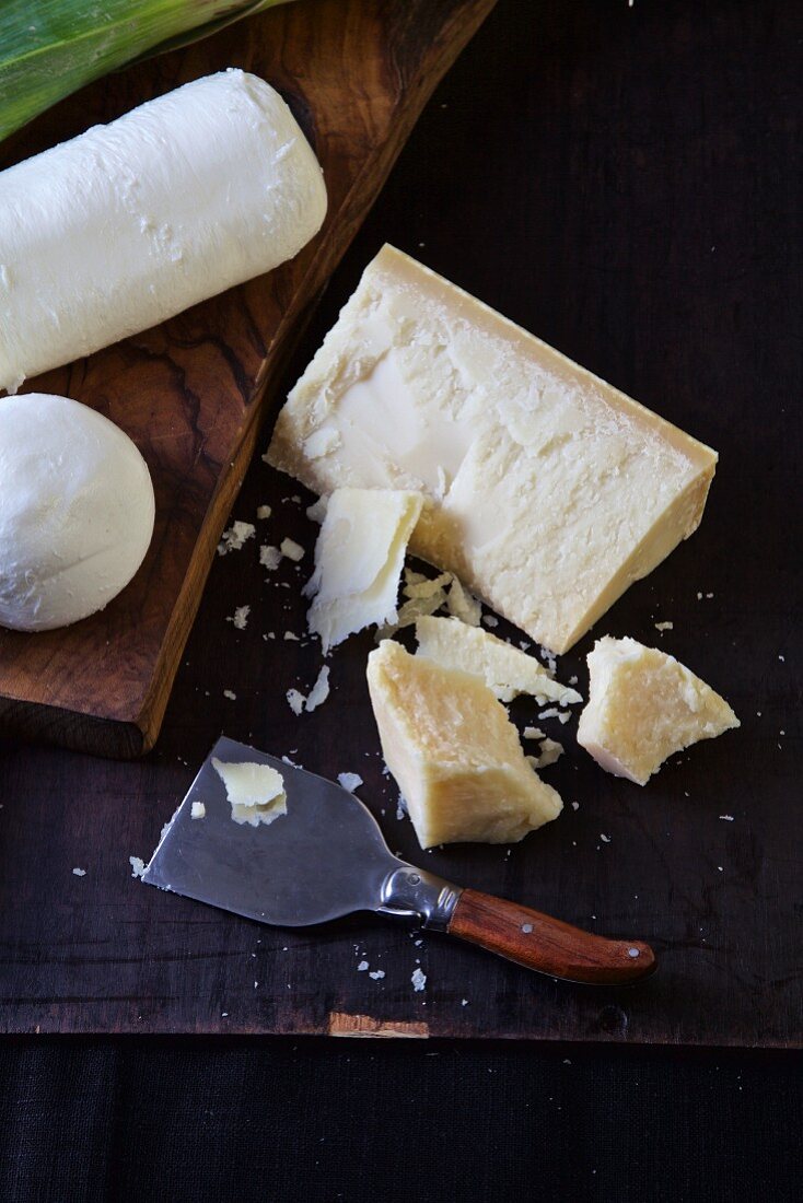 Various types of cheese: parmesan, mozzarella and goat's cheese