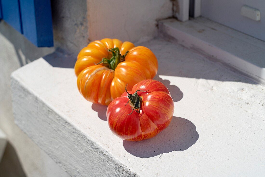 Two tomatoes on a window ledge