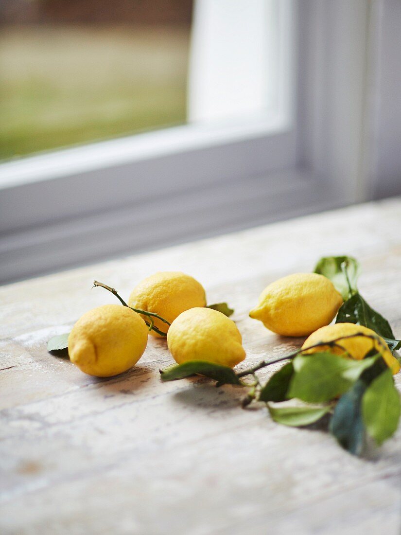 Zitronen auf Holztisch vor Fenster