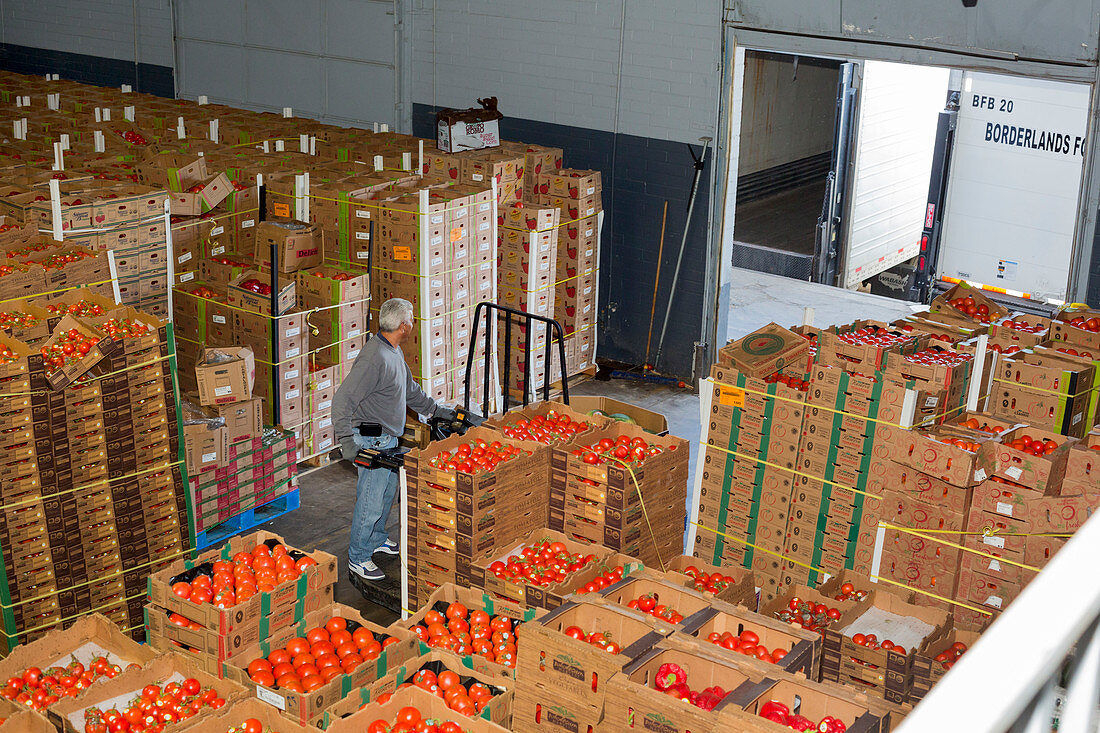 Food bank warehouse, USA