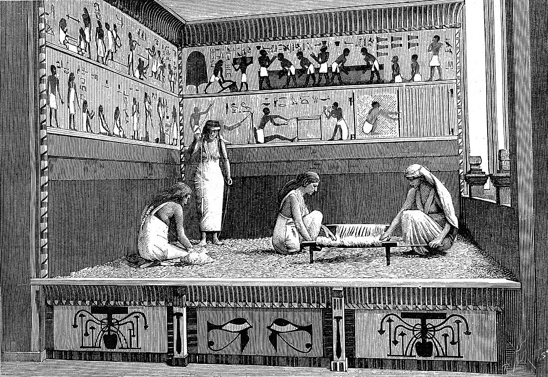 Ancient Egyptian textile workers, illustration