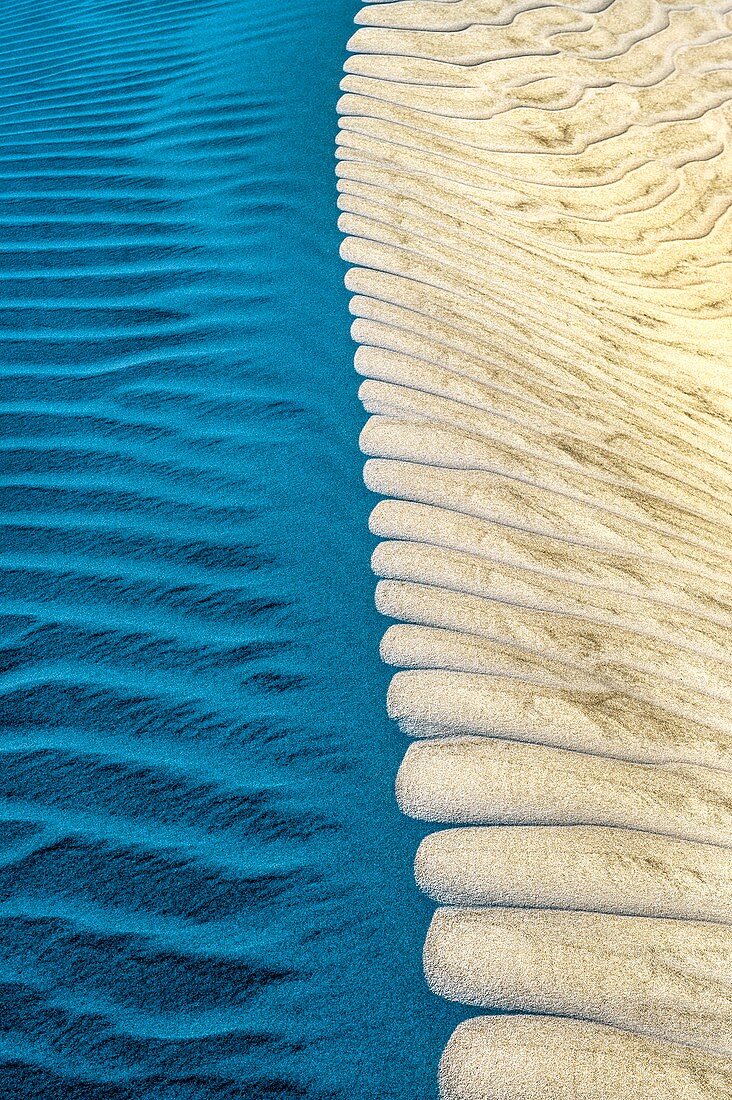 Sand dune ridge