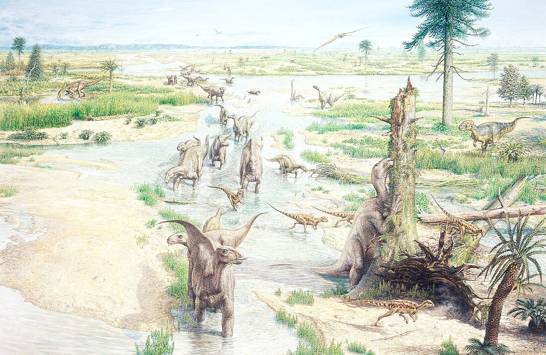 Mesozoic landscape and dinosaurs, illustration