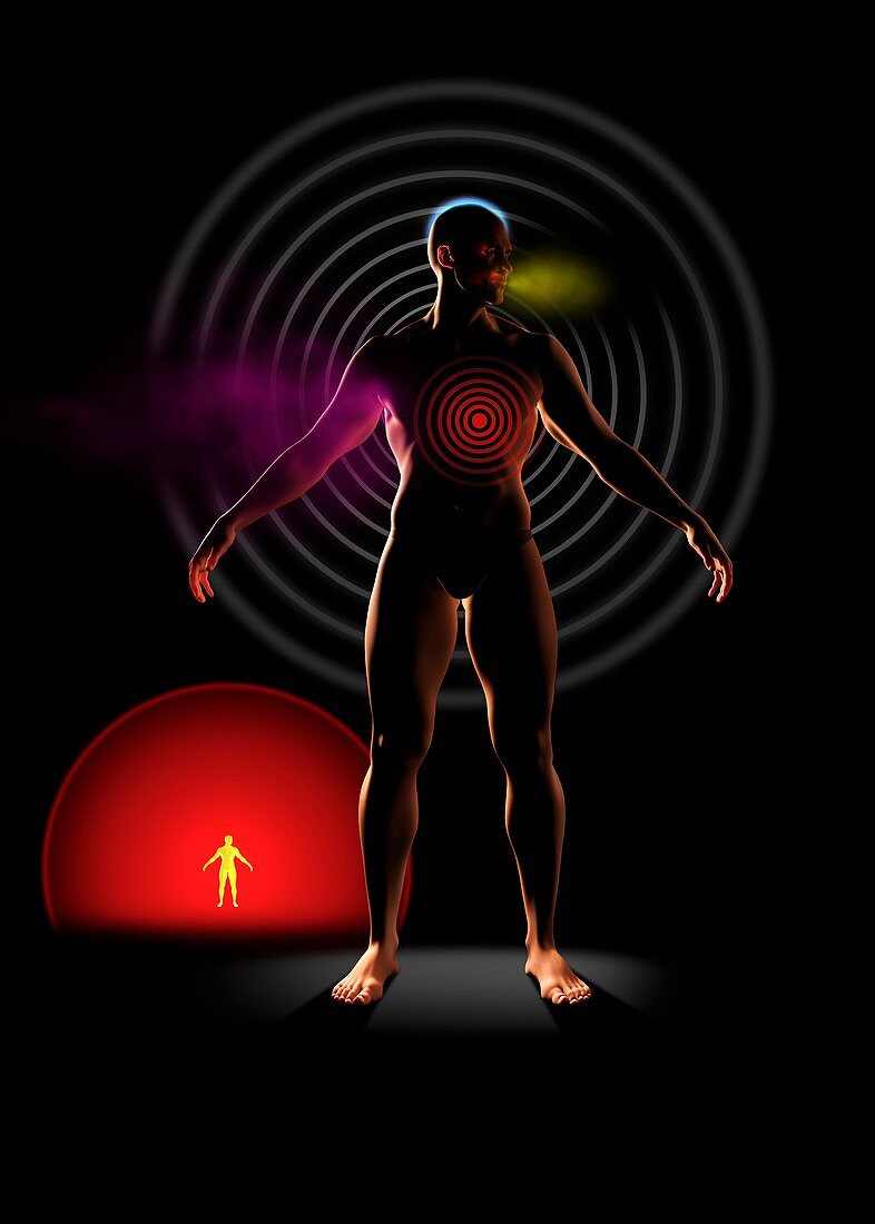 Body signals, illustration